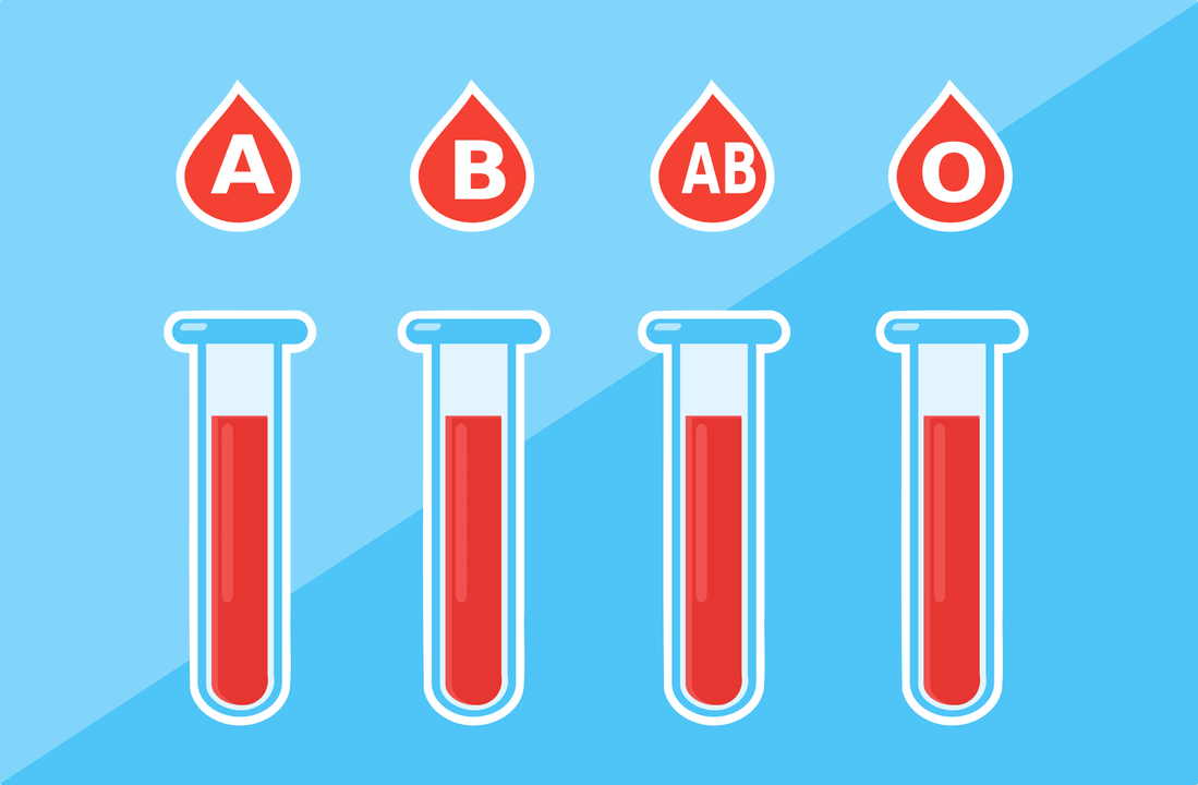 血型有4种——A、B、AB、O